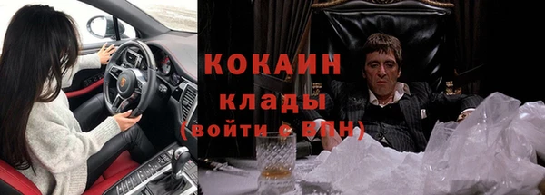 стафф Ладушкин