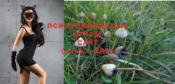 спиды Липки