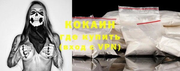 прущие грибы Лабытнанги