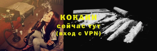 стафф Ладушкин