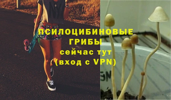 стафф Ладушкин