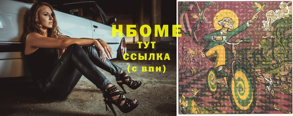 прущие грибы Лабытнанги