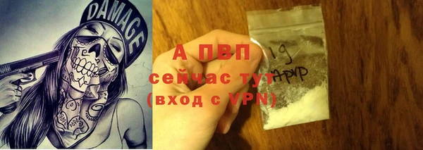 спиды Липки